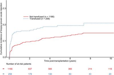 Post-Transplantation Early Blood Transfusion and Kidney Allograft Outcomes: A Single-Center Observational Study